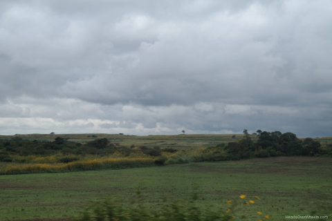 SAM_0015