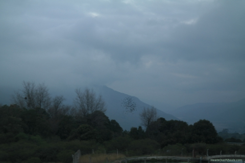 SAM_0132
