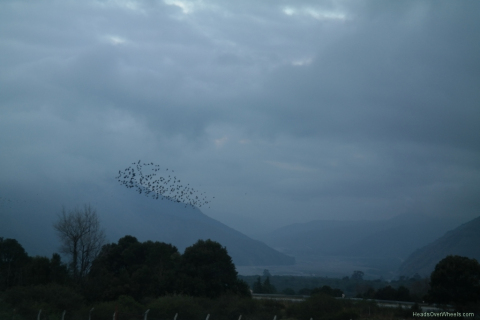 SAM_0133