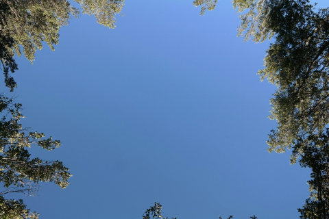 01280019-resized-1024