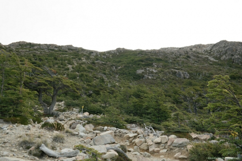 03040096-resized-1024