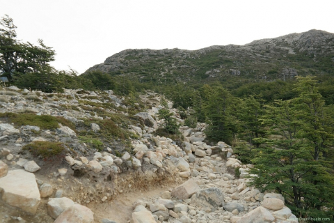 03040098-resized-1024