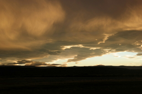 02250008-resized-1024