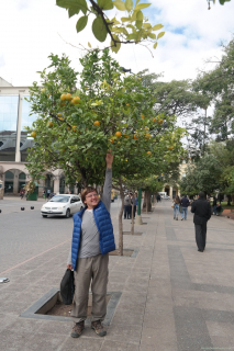 SAM_0033