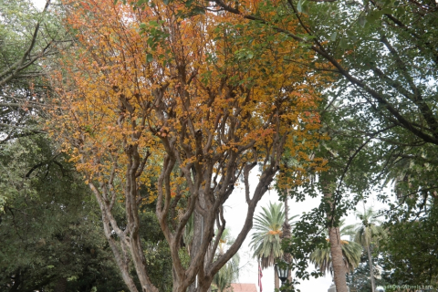 SAM_0038