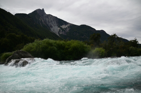 dsc_0078-resized-1024