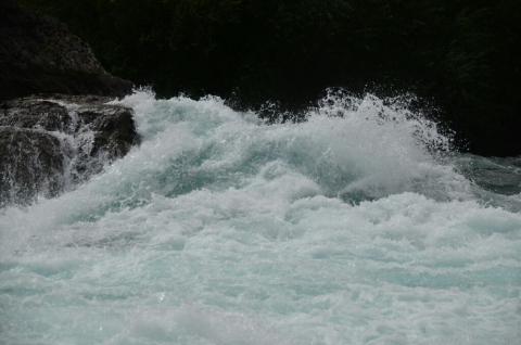 dsc_0079-resized-1024