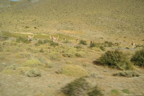 03140018-resized-1024