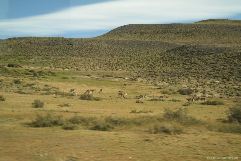 03140026-resized-1024