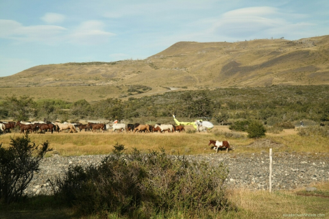03140039-resized-1024