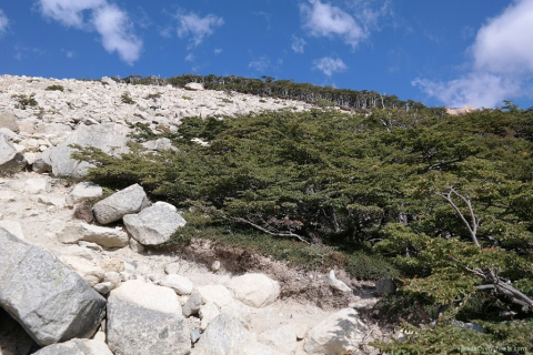 03150066-resized-1024