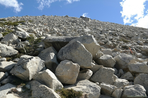 03150069-resized-1024