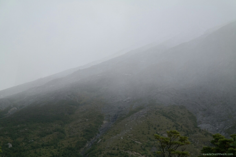 03170017-resized-1024