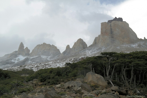 03180039-resized-1024