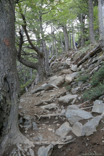 03180052-resized-1024