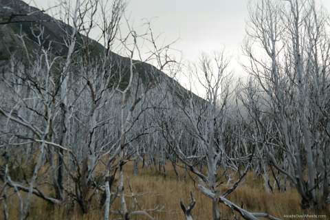 03190031-resized-1024