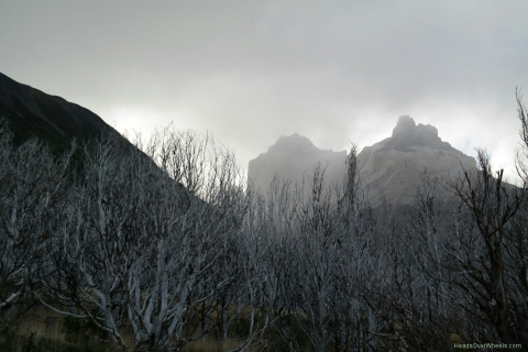 03190033-resized-1024