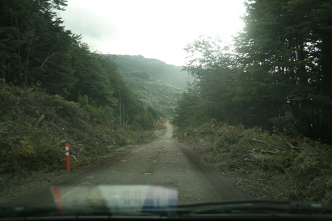 02210062-resized-1024