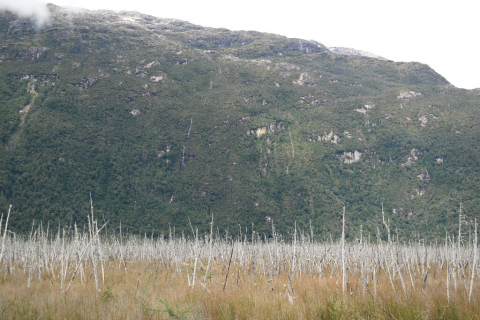 02230033-resized-1024