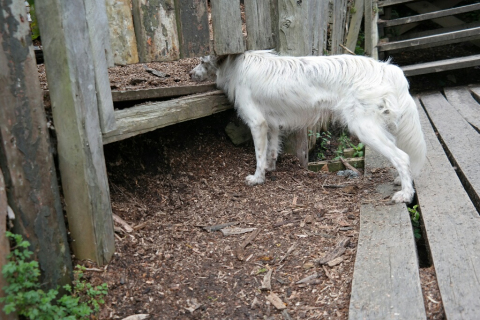 02230103-resized-1024