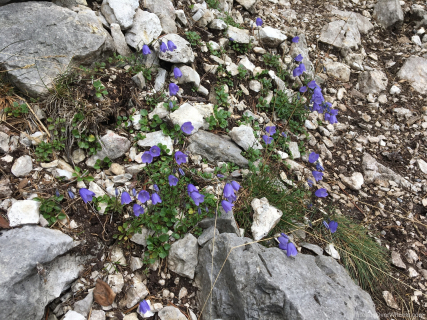 IMG_1650