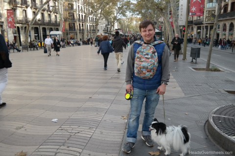 SAMSUNG CSC