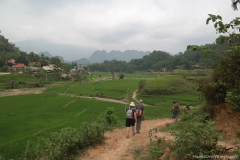 104