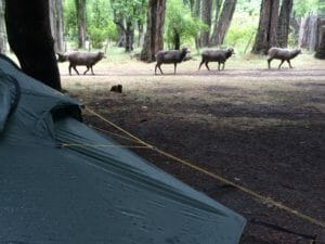 Wet tent